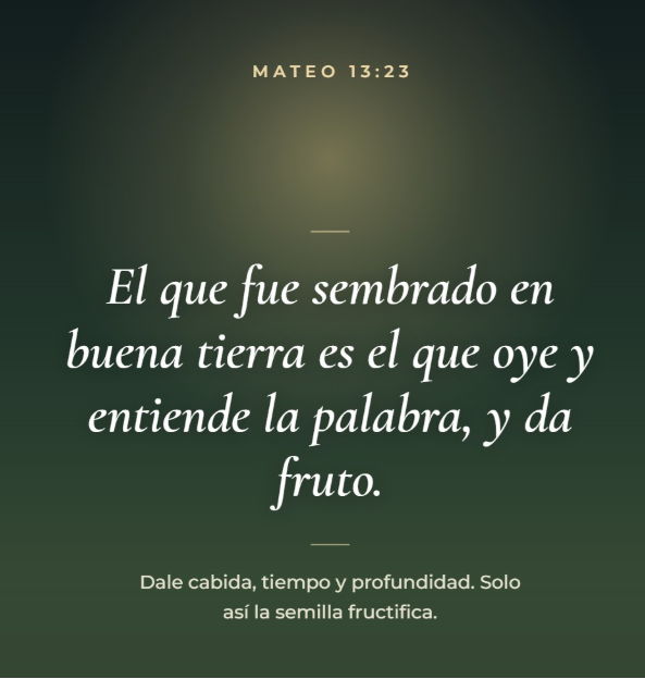 Dale cabida, tiempo y profundidad